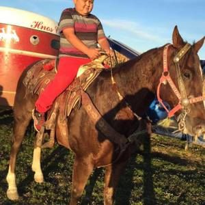 Meet your Posher, Cesar